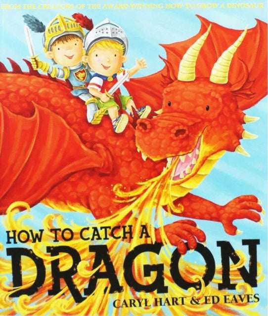 How To Catch A Dragon